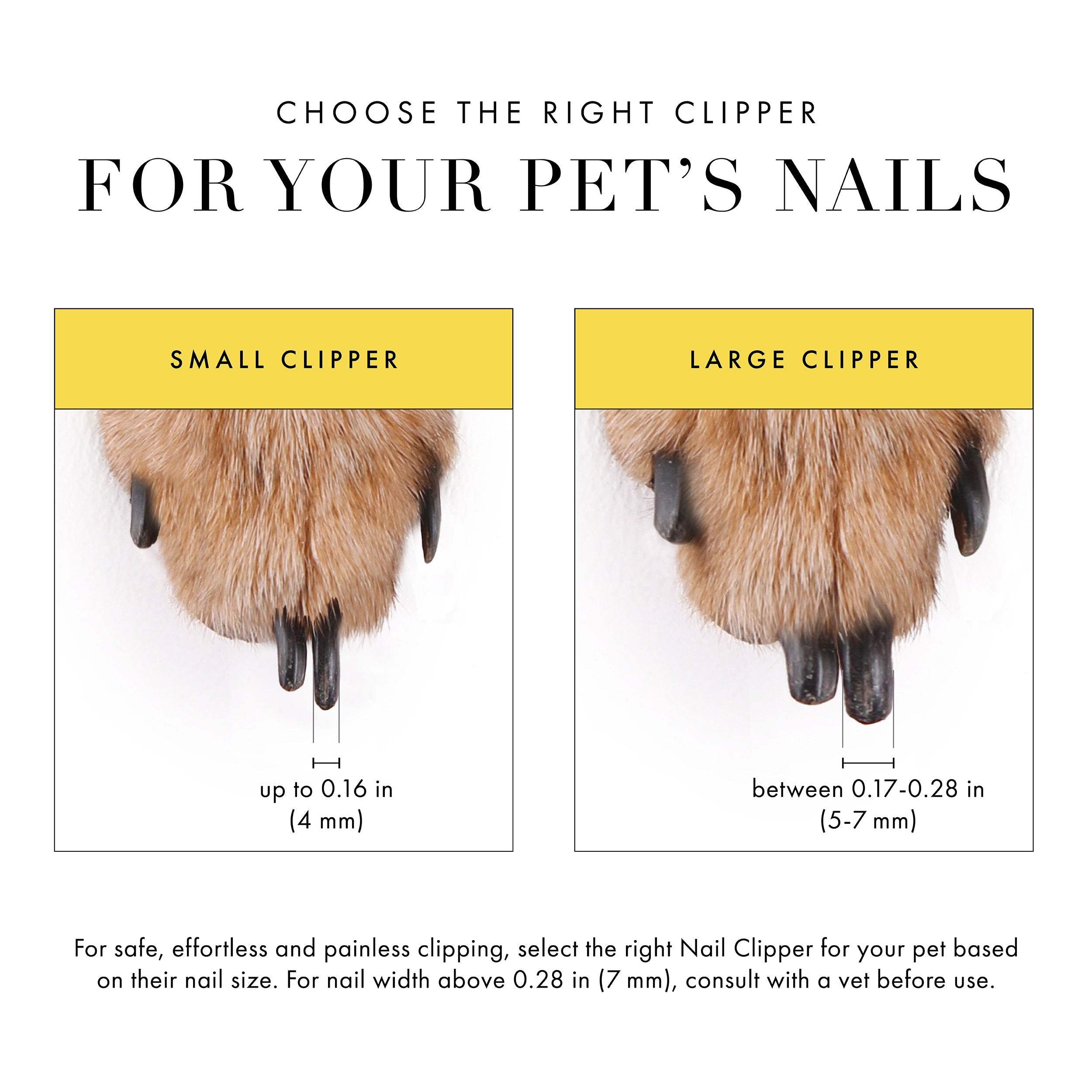 Nail Clipping Prices For Dog Grooming Near Me Dog Grooming Prices