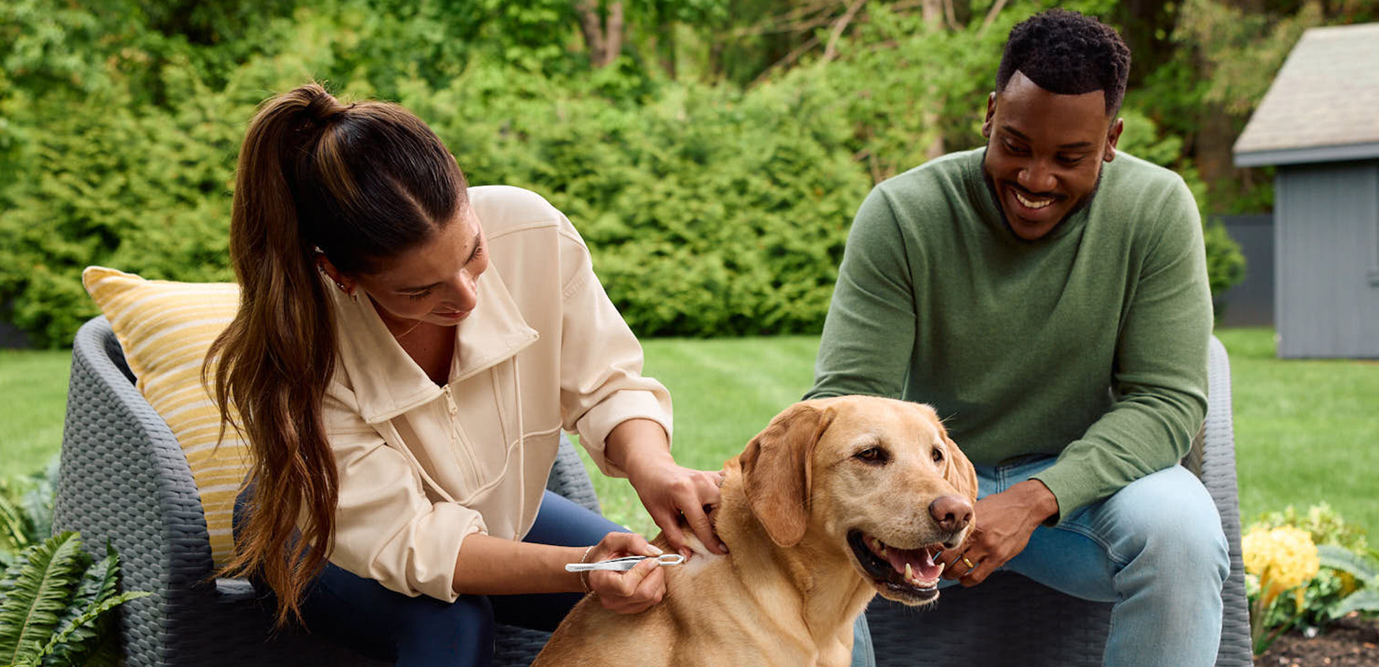 female and male using tick removal tweezer on dog