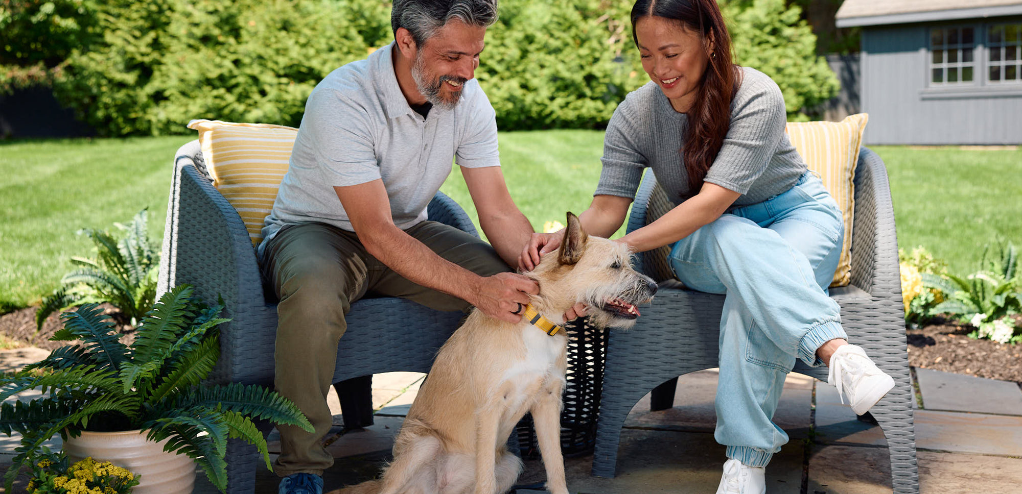 Helping Reduce Pet Anxiety in the Car: Simple Ways to Create a Calmer Ride