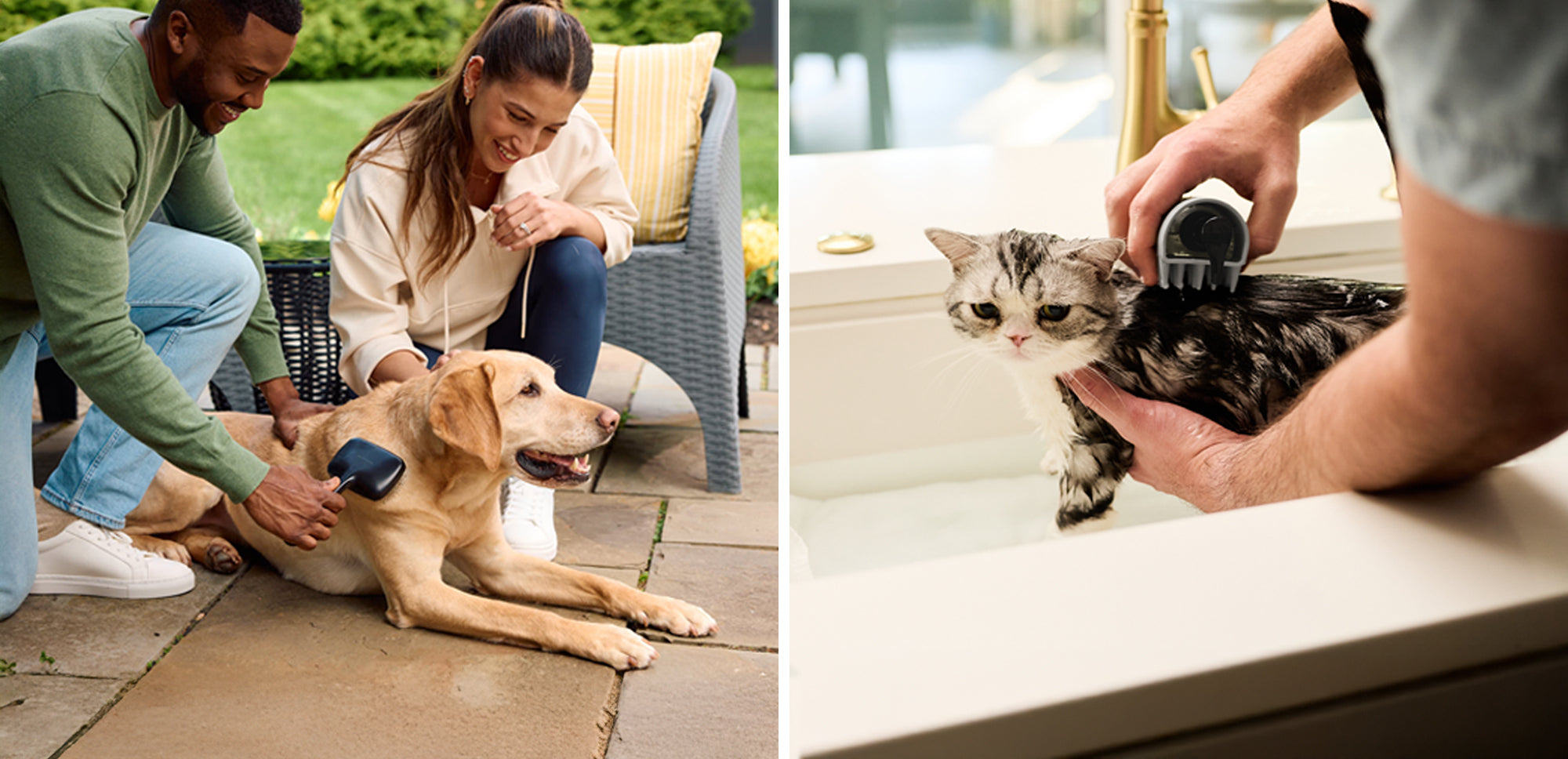 Male and female model using precision brush on dog