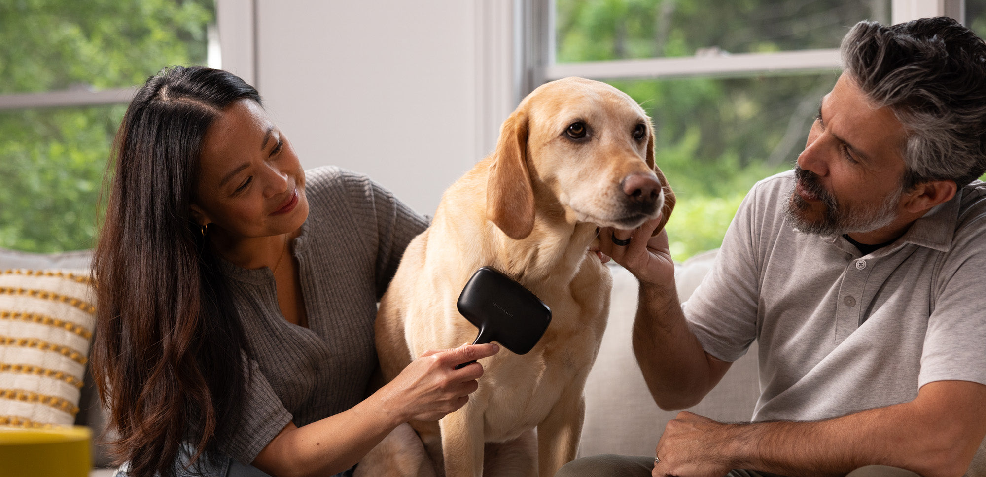 Dog being brushed with a Black tweezerman brush 