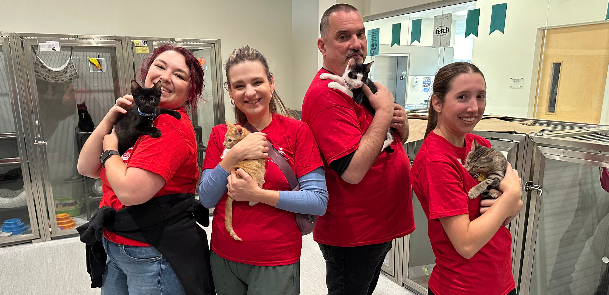 Tweezerman Volunteers holding kittens
