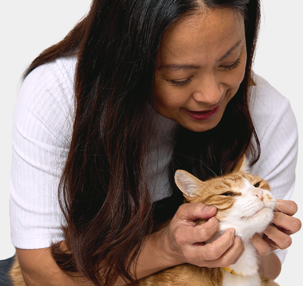 Models petting and grooming cats and dogs