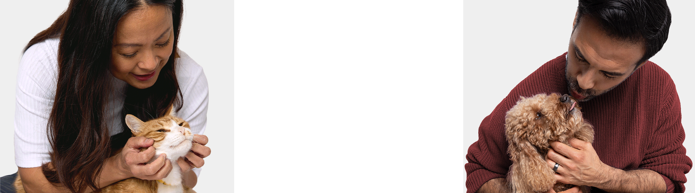 Models petting and grooming cats and dogs