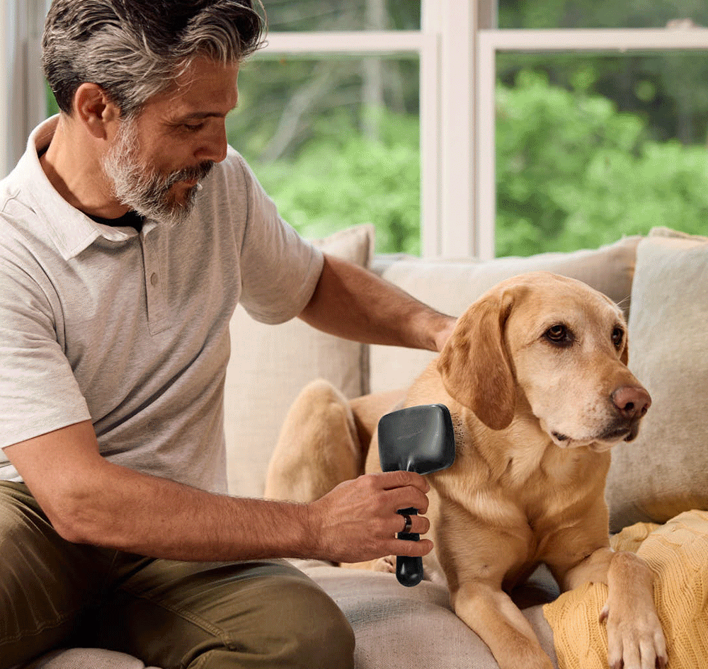 female and male models using the Tweezerman black slicker brush on dogs and pets