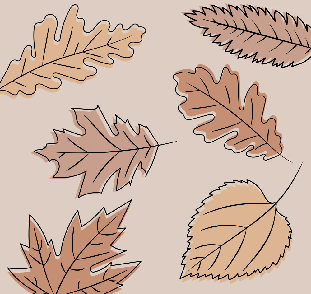 A flat lay illustration of six autumn leaves in shades of tan, brown, and muted peach on a solid beige background.