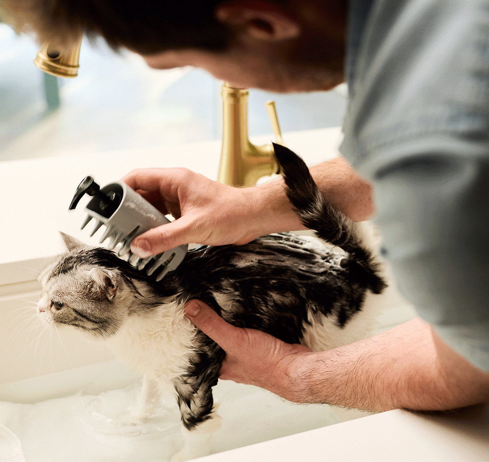 Male and Female models grooming cats and dogs with our precision grooming tools. 