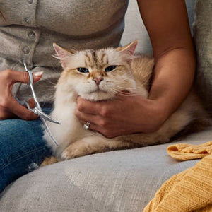 Link to Grooming Shears