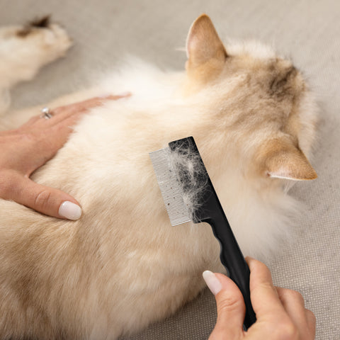 Model combing Cat's back hair with Pet Precision Single Row Flea Comb