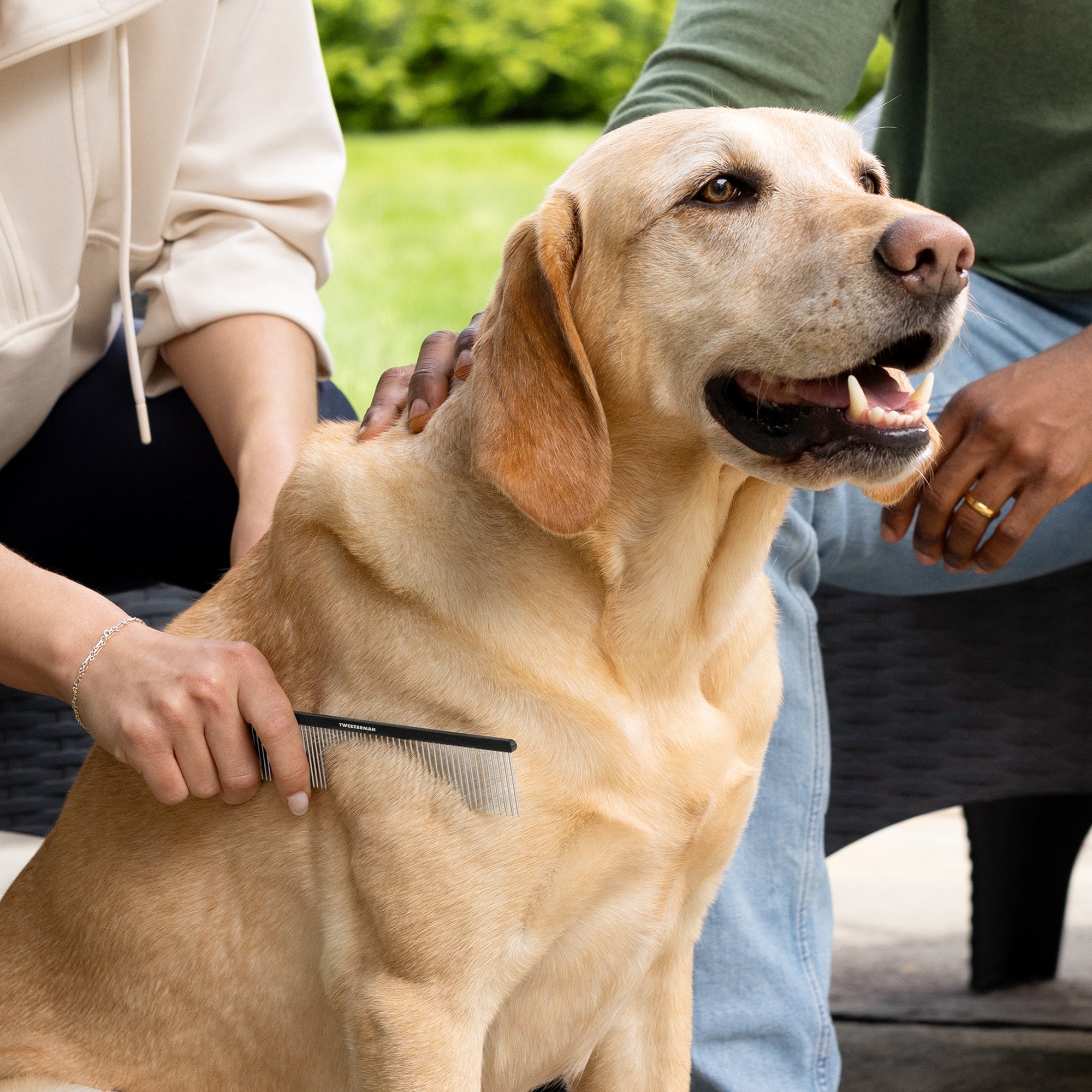 Two models with dog sitting next to them, one of them is combing Dog's hair with Dual-Sided Detangling Comb