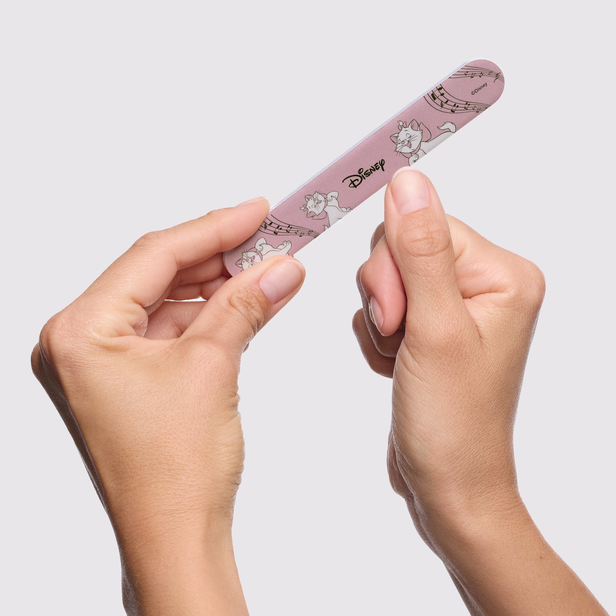 Model using The Aristocats Nail File