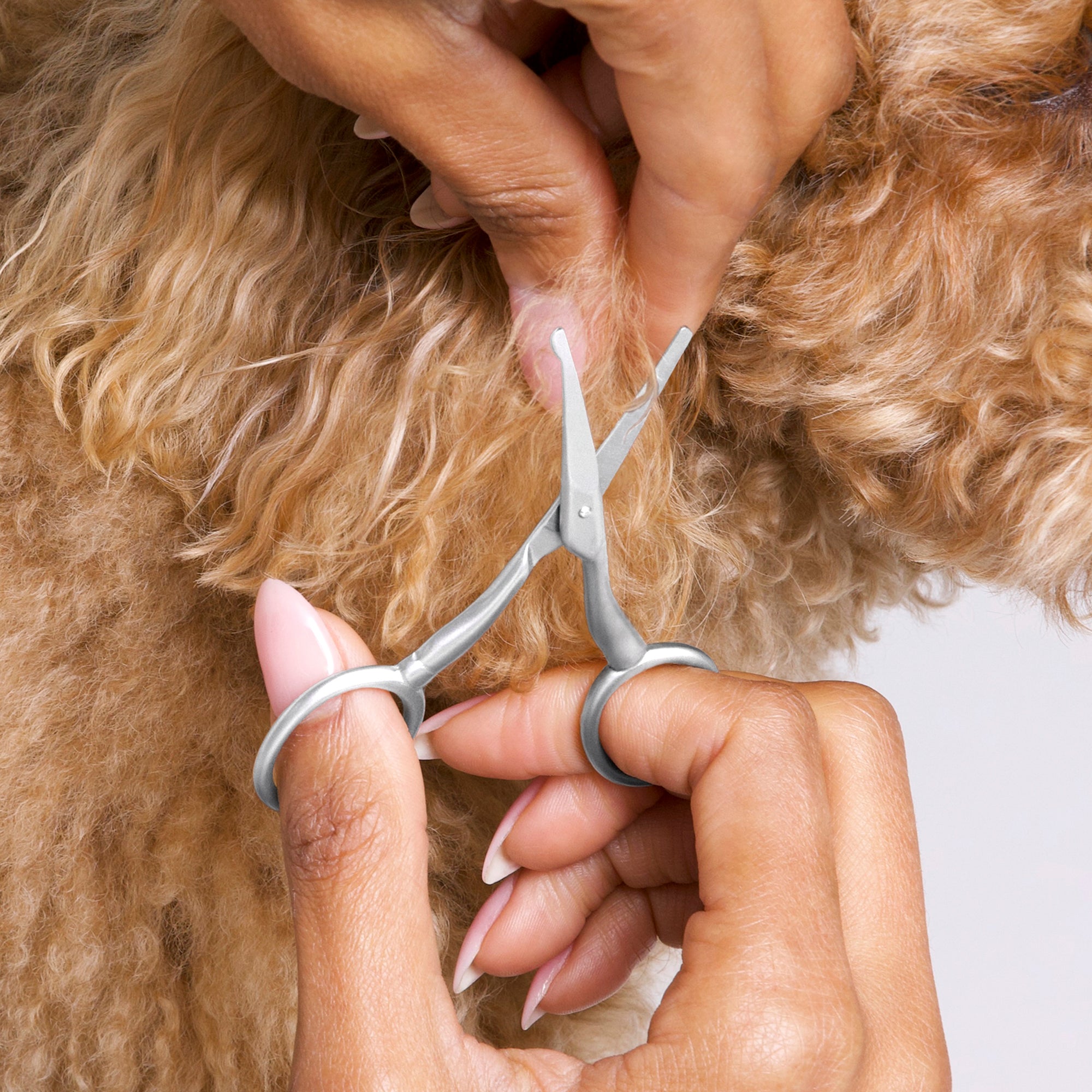 Model using Pet Safety Tip Trimming Scissors to trim fur around dog&#39;s face