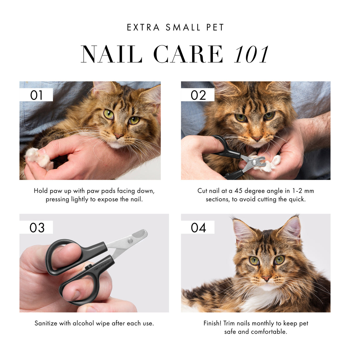 Extra Small Pet Nail Care 101. 1) Hold paw up with paw pads facing down, pressing lightly to expose the nail. 2) Cut nail at a 45 degree angle in 1-2mm sections, to avoid cutting the quick. 3) Sanitize with alcohol wipe after each use. 4) Finish! Trim nails monthly to keep pet safe and comfortable.
