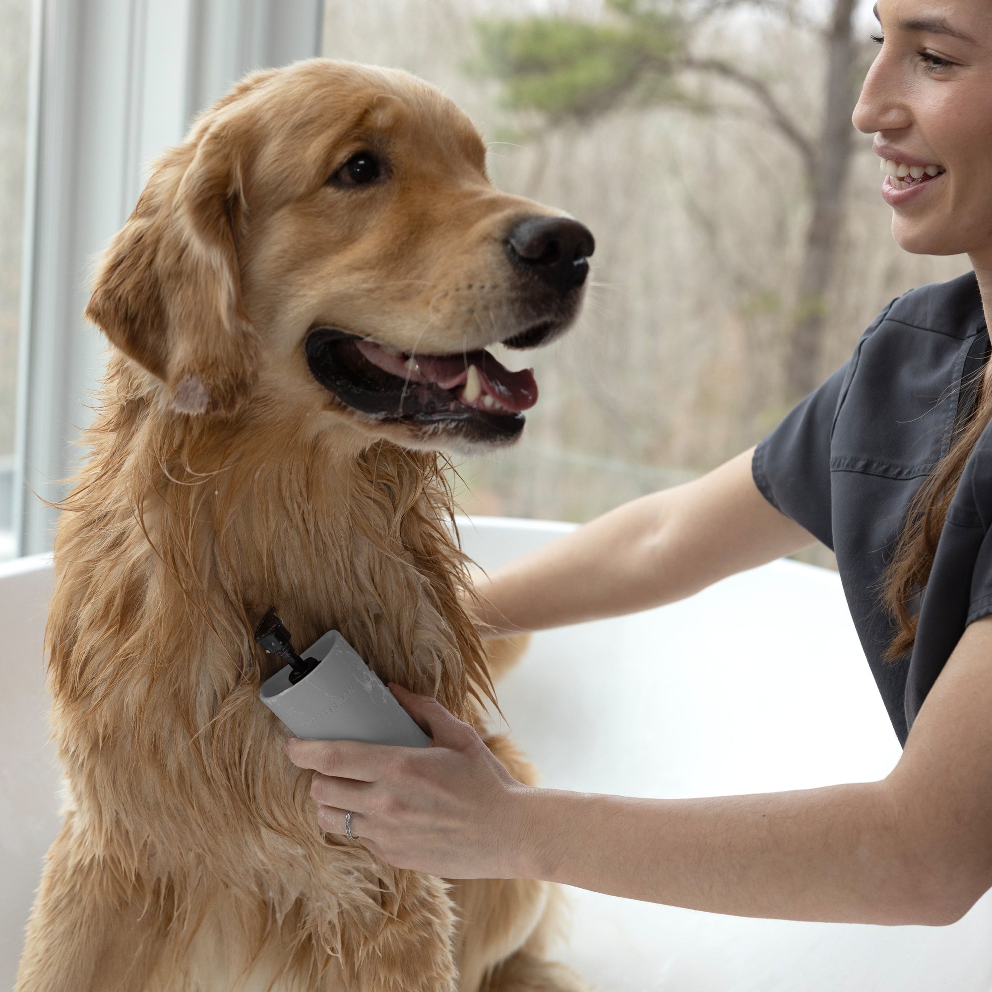 Hand holding 2-In-1 Shampoo Dispensing Bath Brush with bristles brushing dog&#39;s coat