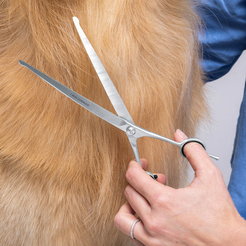 Model is using Curved Grooming Shears 9