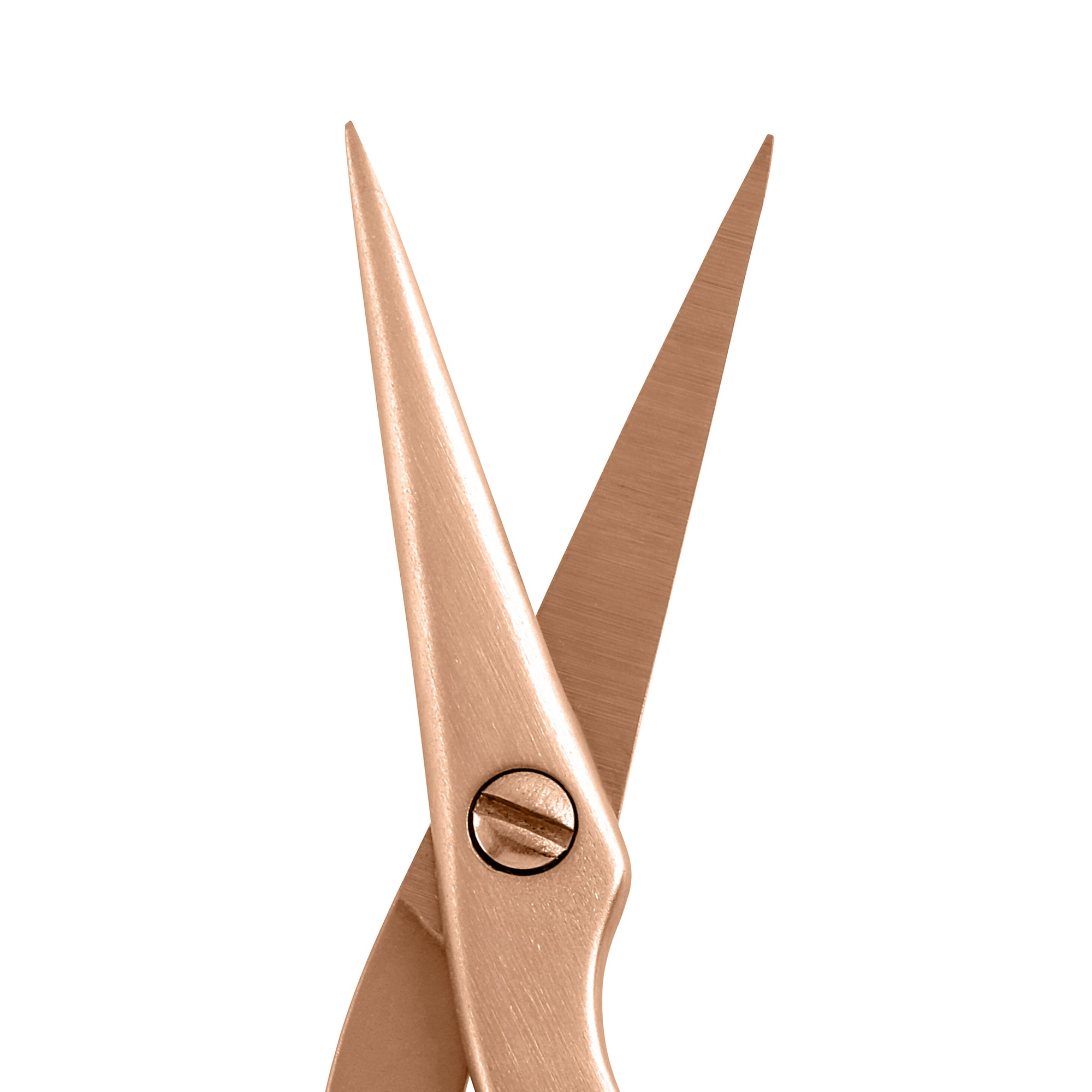 Tips of Rose Gold Brow Shaping Scissors