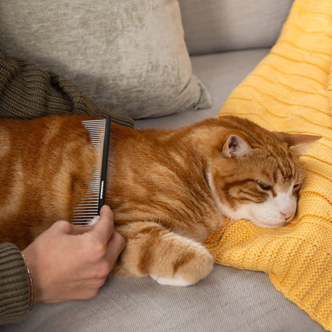 Cat laying on a couch and model combing Cat's back hair with Dual-Sided Detangling Comb