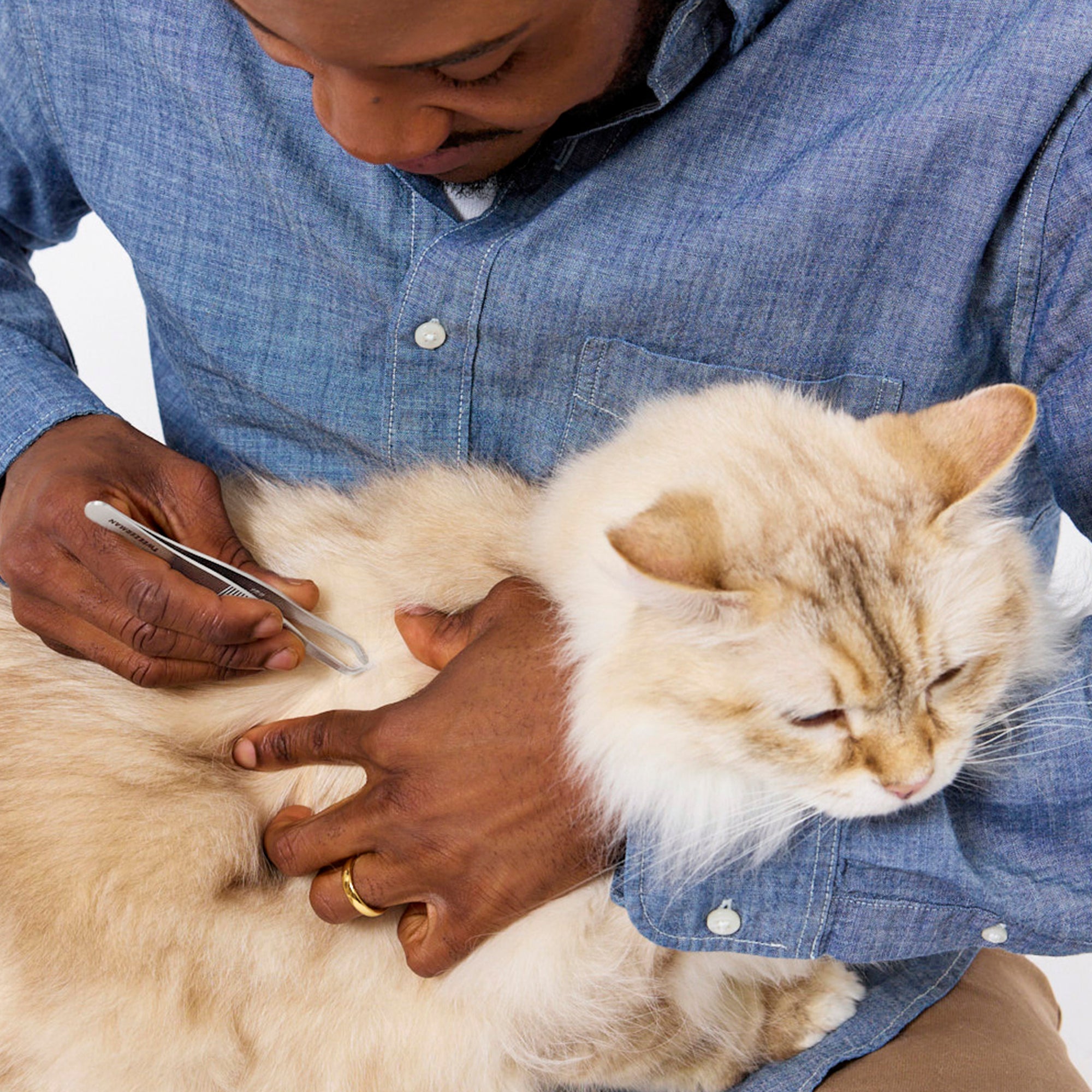 Model is using one hand to separate cat fur and expose skin while other hand is using Tick Removal Tweezer 